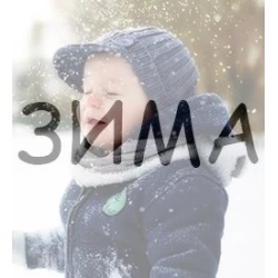 Зима (76)
